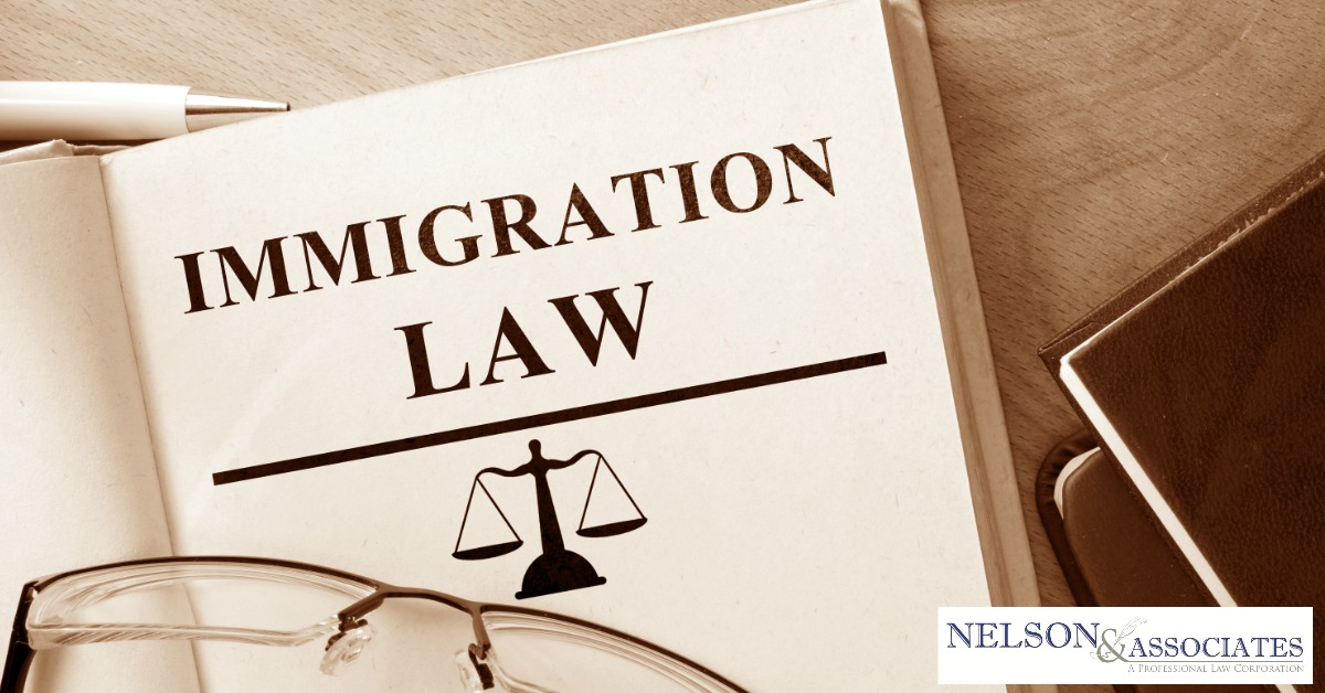 immigration law help